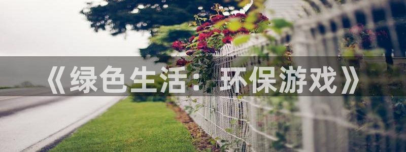 完美电竞平台steam校验:《绿色生活:环保游戏》